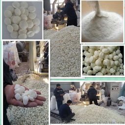 邢煤粘合剂加工设备与预糊化淀粉膨化机 高效生产的关键选择