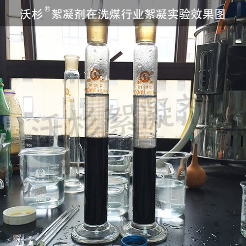 洗煤厂絮凝剂选型指南 从工艺适配到煤泥沉降优化